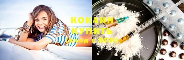 шишки Надым