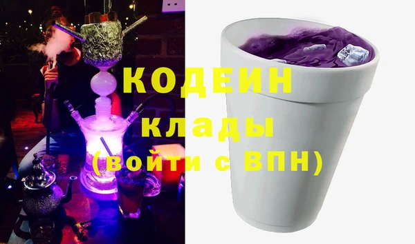 шишки Надым
