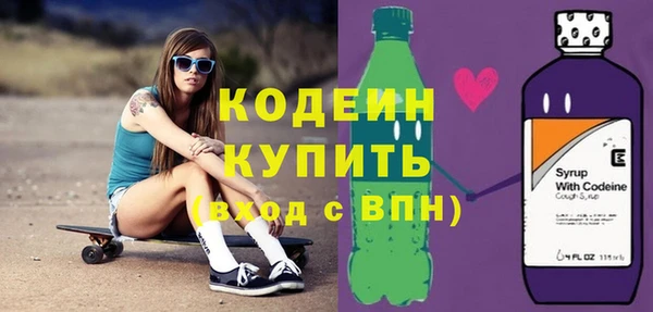 шишки Надым