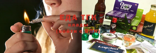 шишки Надым