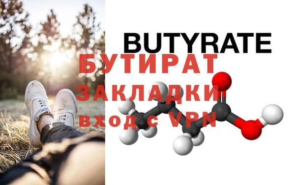 шишки Надым