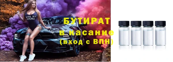 шишки Надым