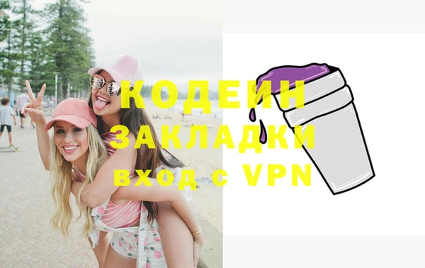 шишки Надым