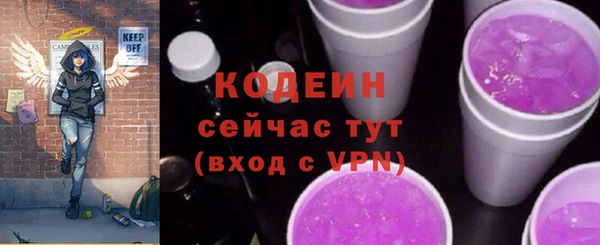 шишки Надым
