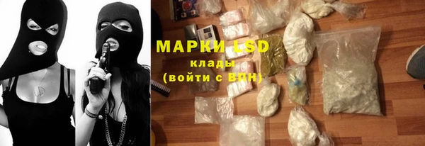 шишки Надым