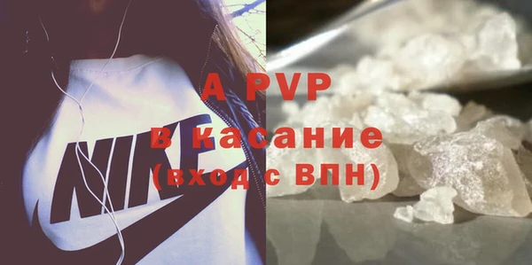 шишки Надым