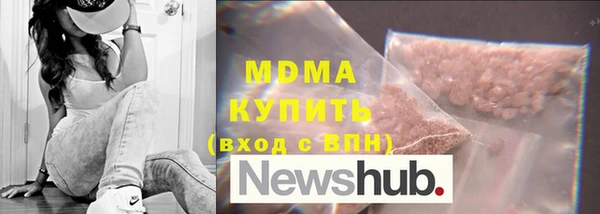 шишки Надым