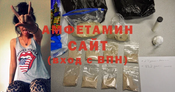 шишки Надым