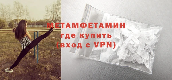 шишки Надым