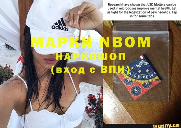 шишки Надым