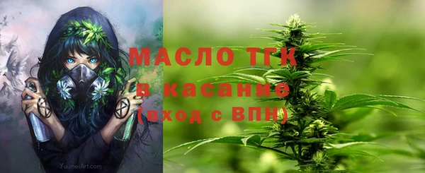 шишки Надым