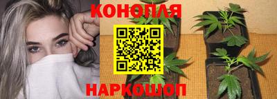 спайс Беслан