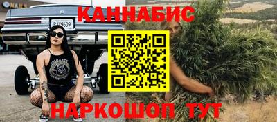 MDMA Гатчина