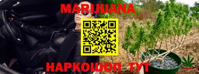 прущие крисы Гай