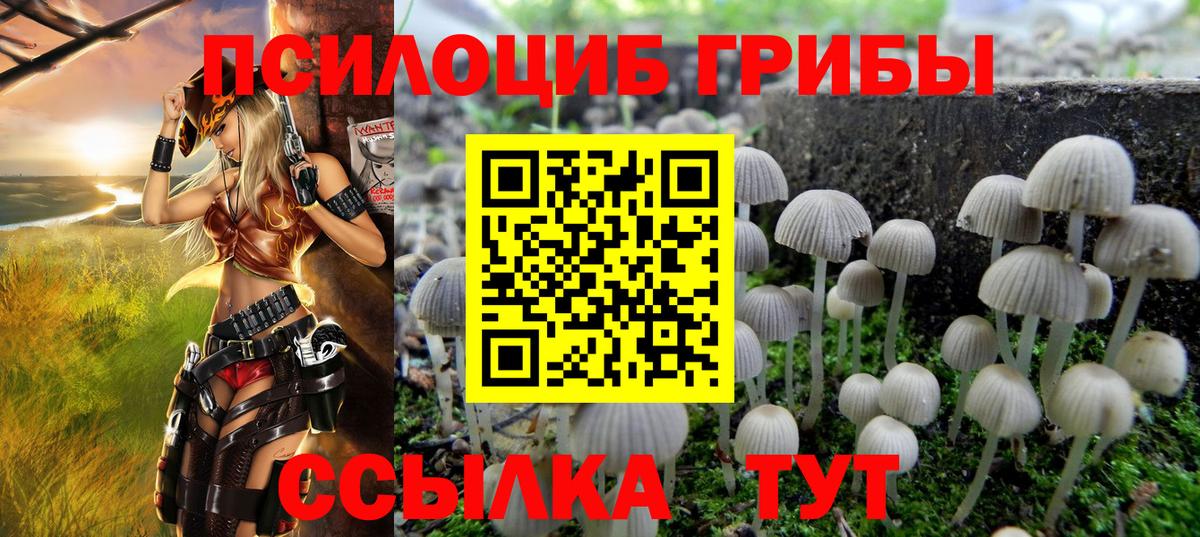 Ижевск  Галлюциногенные грибы Psilocybine cubensis  Вход с VPN 
