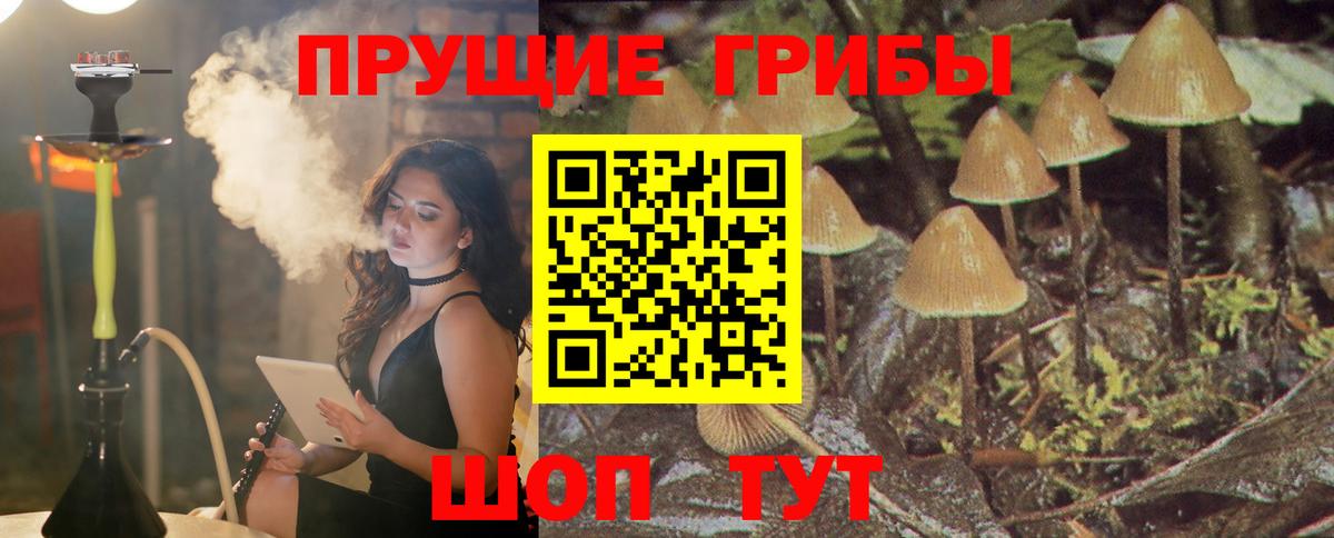 Псилоцибиновые грибы GOLDEN TEACHER Ижевск