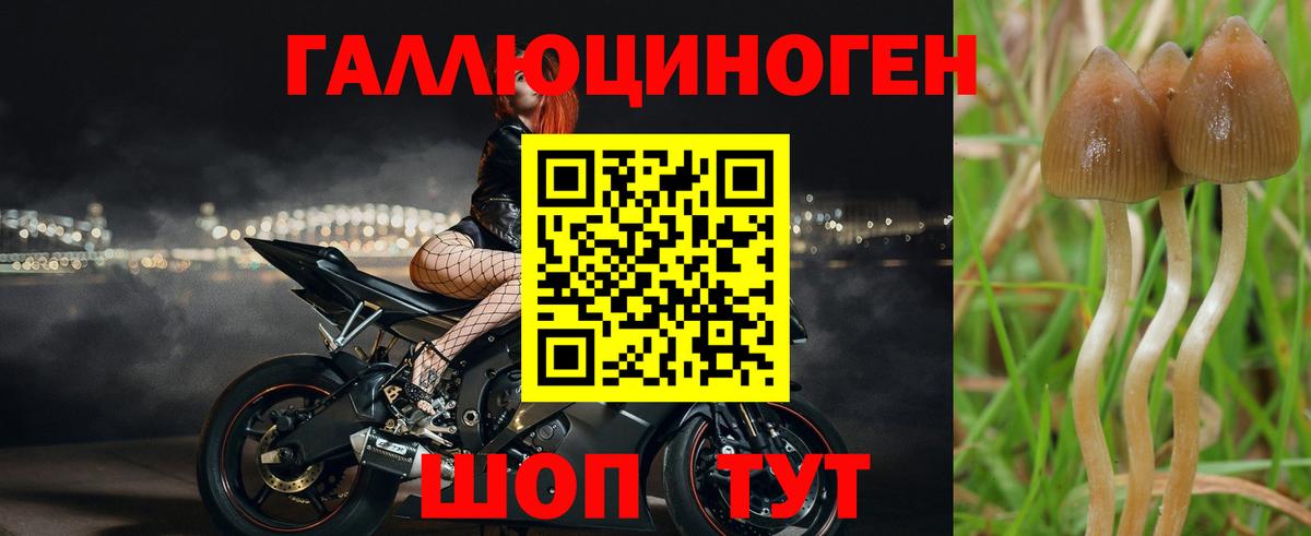 Галлюциногенные грибы Cubensis Ижевск