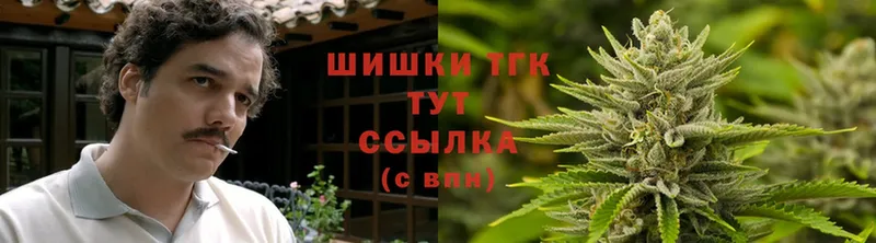 как найти   Ижевск  Шишки марихуана OG Kush 